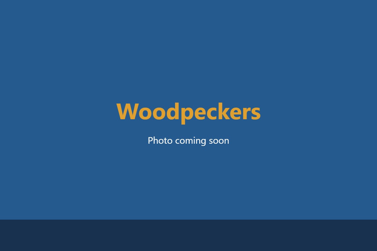 Fayetteville Woodpeckers